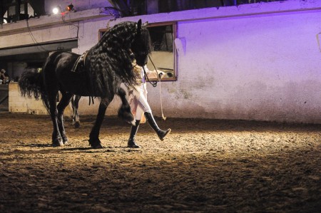 6a Domaine Equestre de Stambach