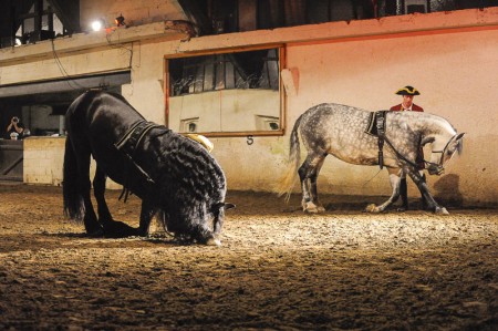 6b Domaine Equestre de Stambach