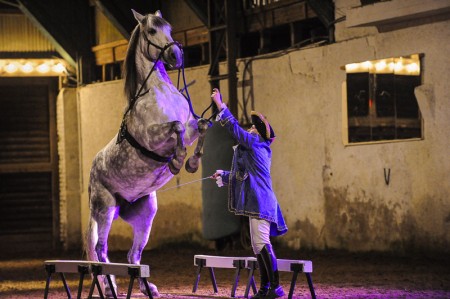 6c Domaine Equestre de Stambach