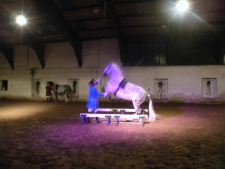 6d Domaine Equestre de Stambach