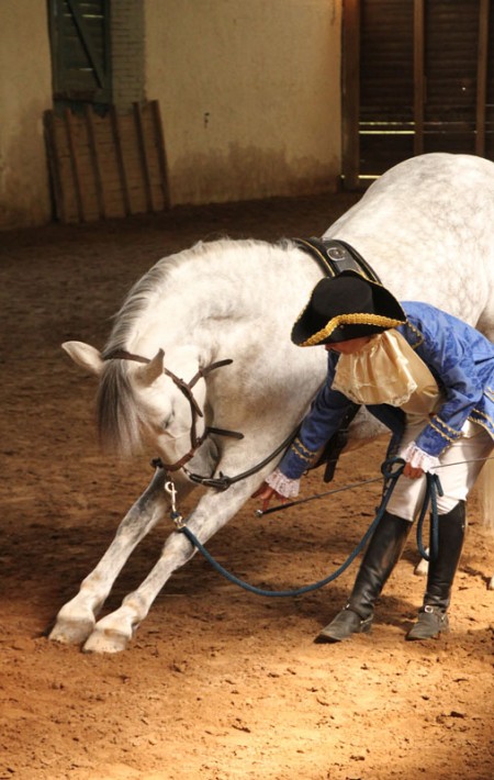 6e Domaine Equestre de Stambach