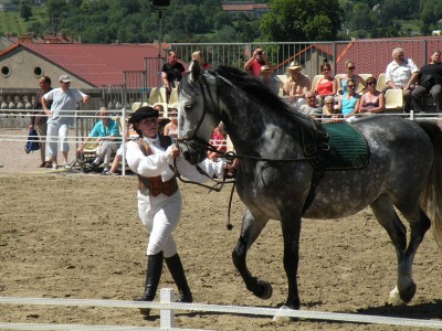 DSCN3923